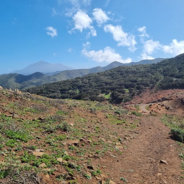 El Bailadero – Bild 2