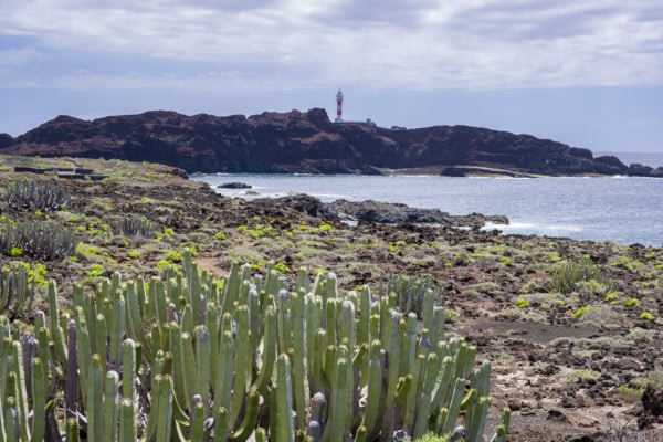 Zum Leuchtturm von Punta de Teno