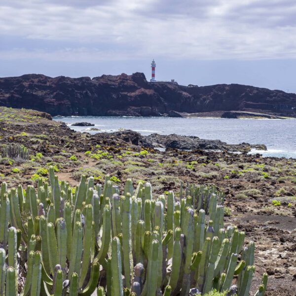Zum Leuchtturm von Punta de Teno – Bild 2