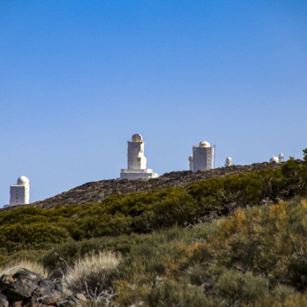 Arenas Negras im Teide Nationalpark – Bild 9