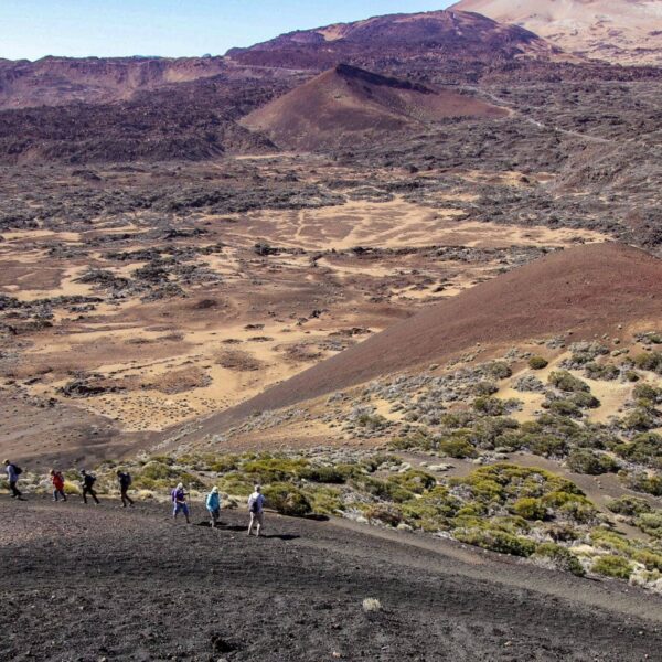 Arenas Negras im Teide Nationalpark – Bild 10
