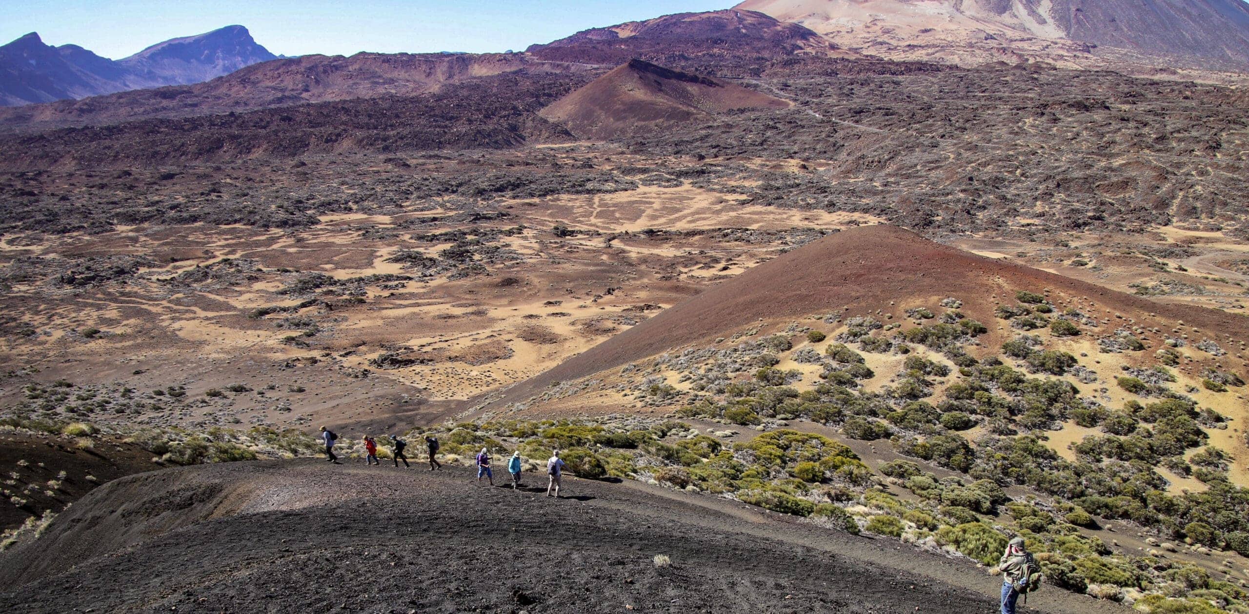 Arenas Negras im Teide Nationalpark 10 Arenas Negras im Teide Nationalpark – Bild 10