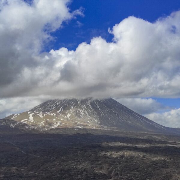 Arenas Negras im Teide Nationalpark – Bild 13