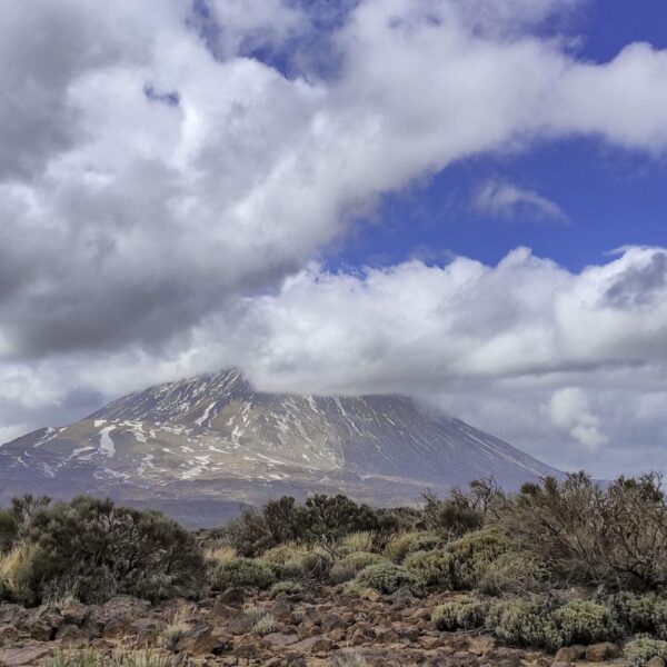 Arenas Negras im Teide Nationalpark – Bild 14