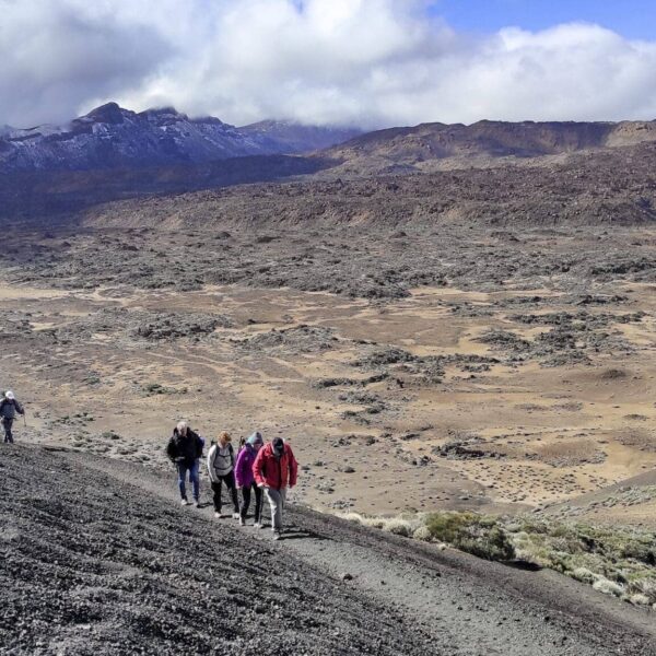 Arenas Negras im Teide Nationalpark – Bild 15