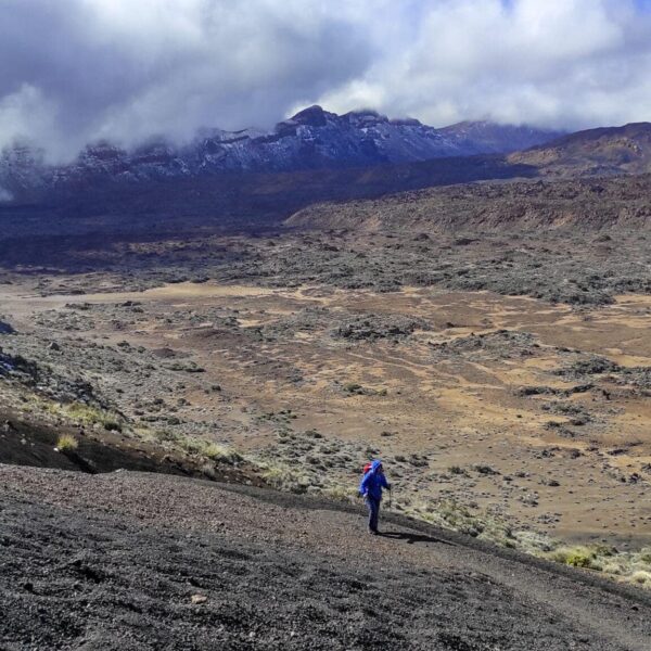 Arenas Negras im Teide Nationalpark – Bild 17