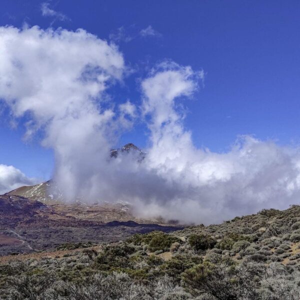 Arenas Negras im Teide Nationalpark – Bild 19