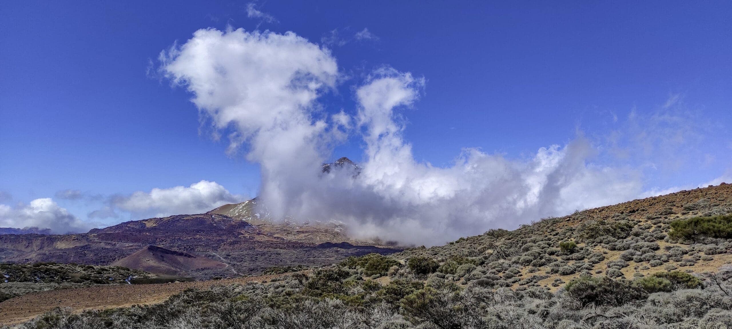 Arenas Negras im Teide Nationalpark 19 Arenas Negras im Teide Nationalpark – Bild 19