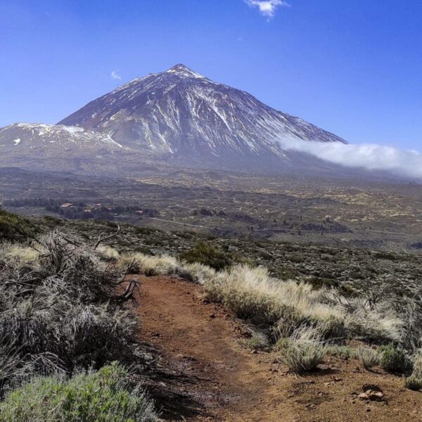 Arenas Negras im Teide Nationalpark – Bild 20