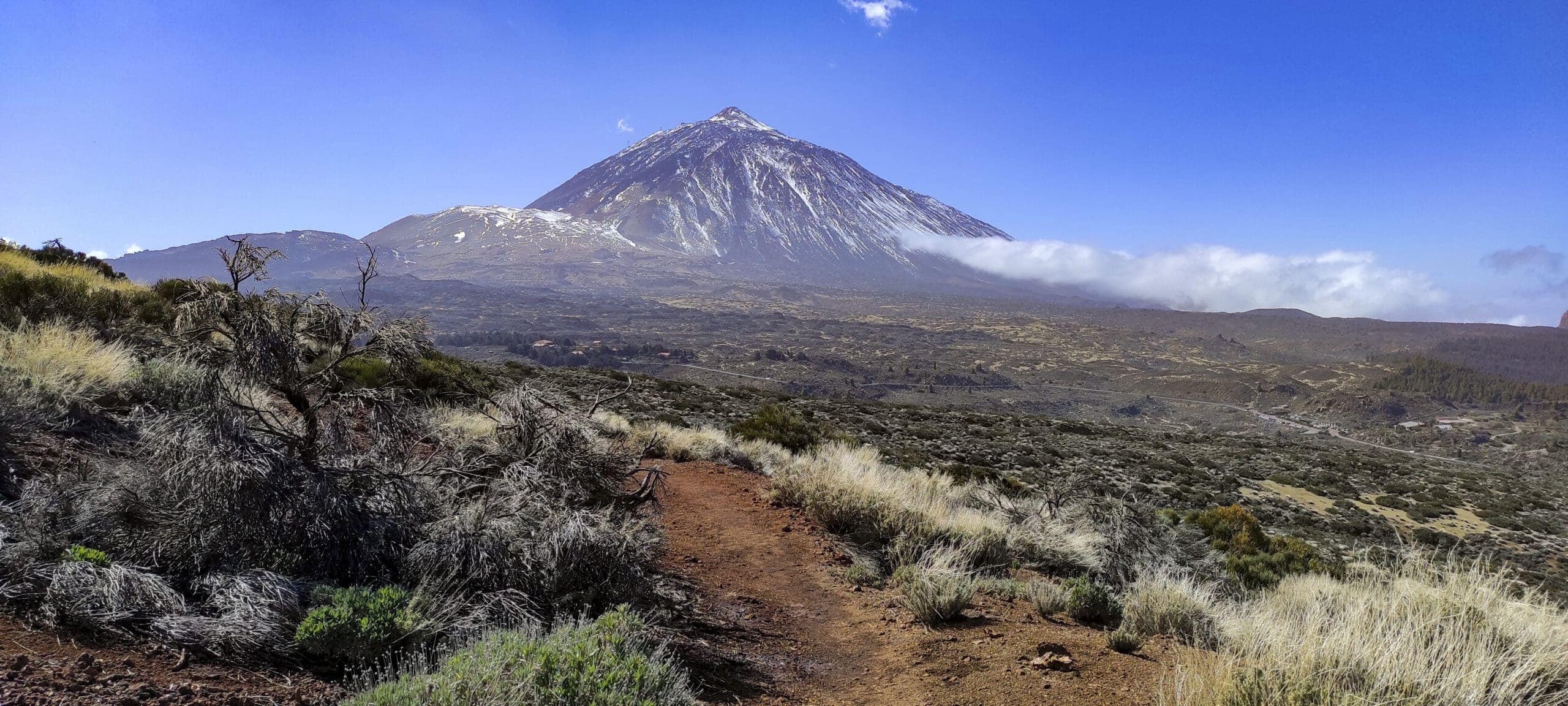 Arenas Negras im Teide Nationalpark 20 Arenas Negras im Teide Nationalpark – Bild 20