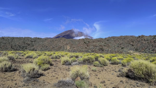 Arenas Negras im Teide Nationalpark