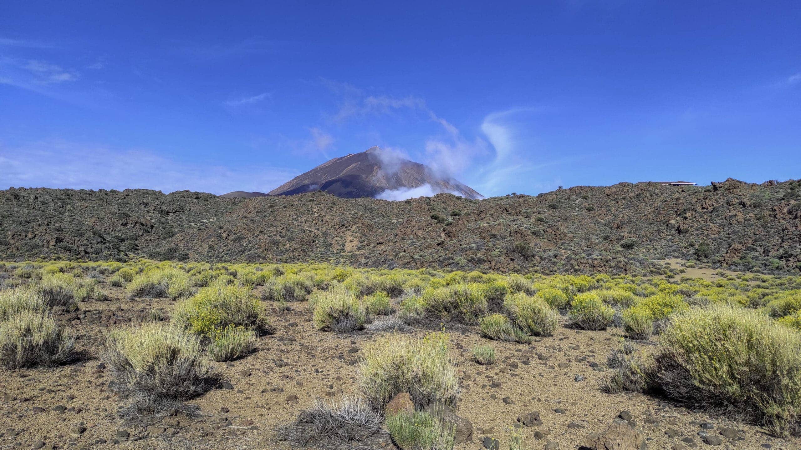 Arenas Negras im Teide Nationalpark 21 Arenas Negras im Teide Nationalpark – Bild 21