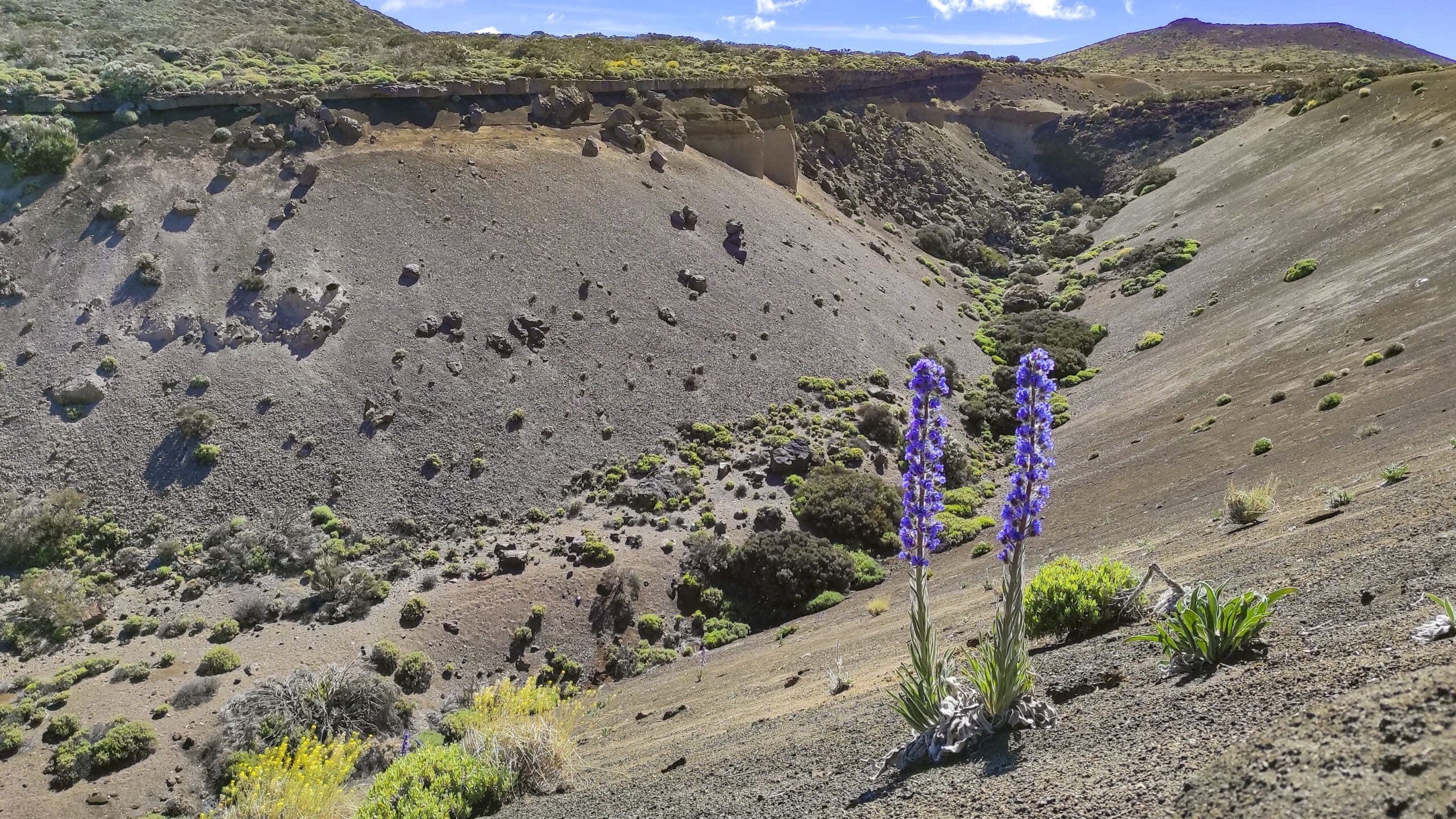 Arenas Negras im Teide Nationalpark 24 Arenas Negras im Teide Nationalpark – Bild 24
