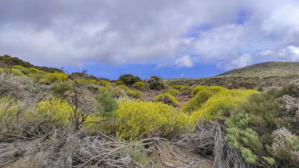 Arenas Negras im Teide Nationalpark
