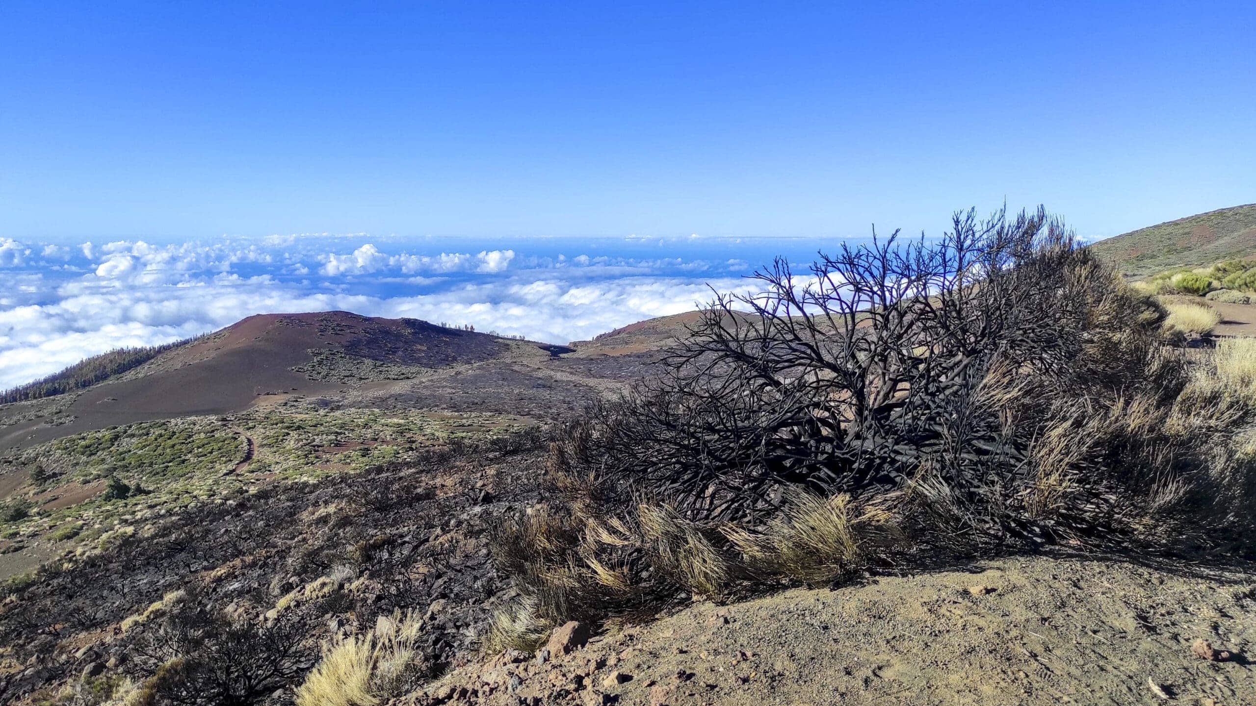 Arenas Negras im Teide Nationalpark 2 Arenas Negras im Teide Nationalpark – Bild 2