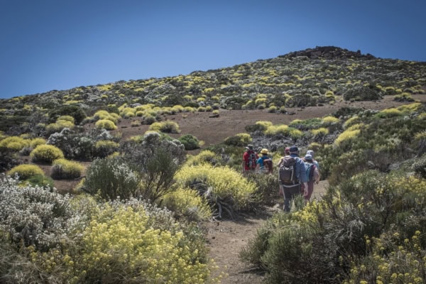 Arenas Negras im Teide Nationalpark