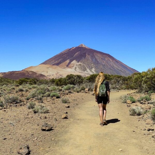 Arenas Negras im Teide Nationalpark – Bild 26