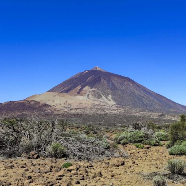 Arenas Negras im Teide Nationalpark – Bild 27