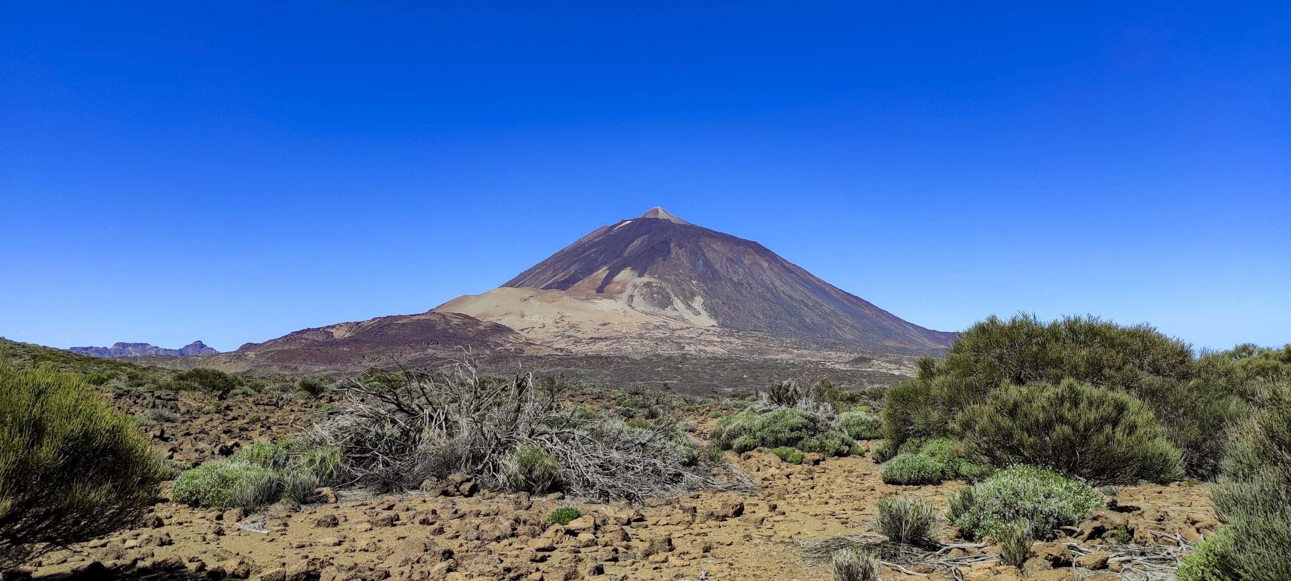 Arenas Negras im Teide Nationalpark 27 Arenas Negras im Teide Nationalpark – Bild 27