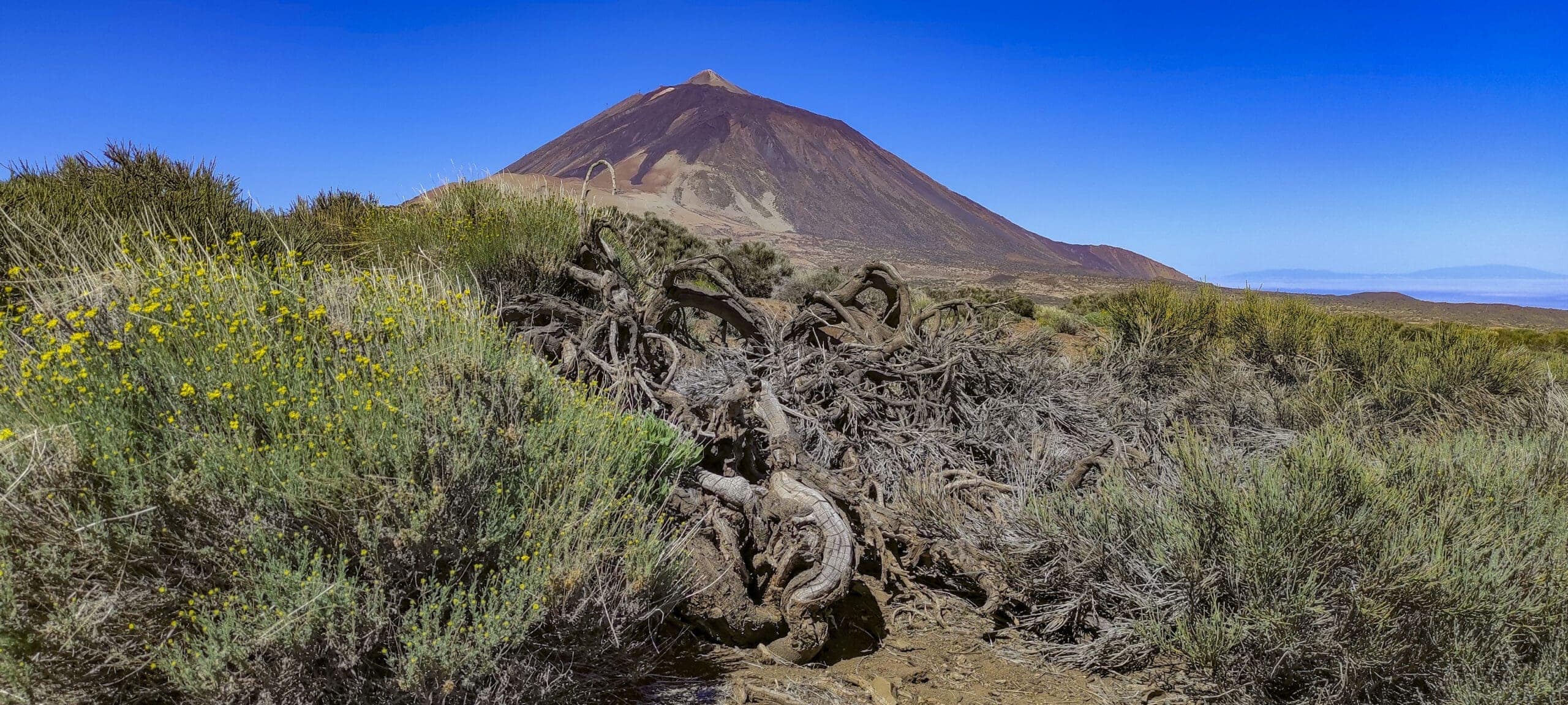 Arenas Negras im Teide Nationalpark 28 Arenas Negras im Teide Nationalpark – Bild 28
