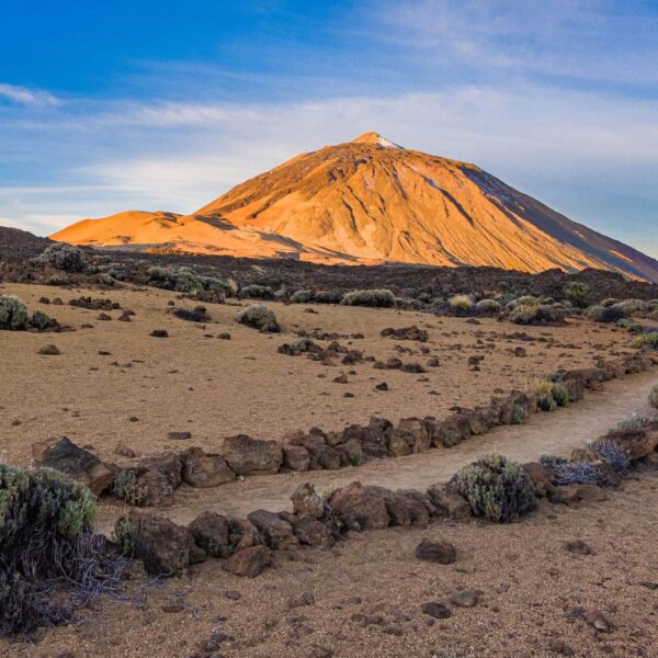 Arenas Negras im Teide Nationalpark – Bild 30