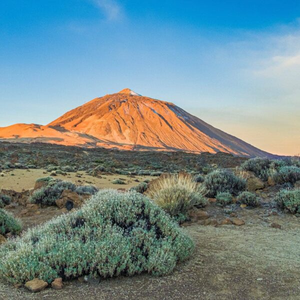 Arenas Negras im Teide Nationalpark – Bild 31
