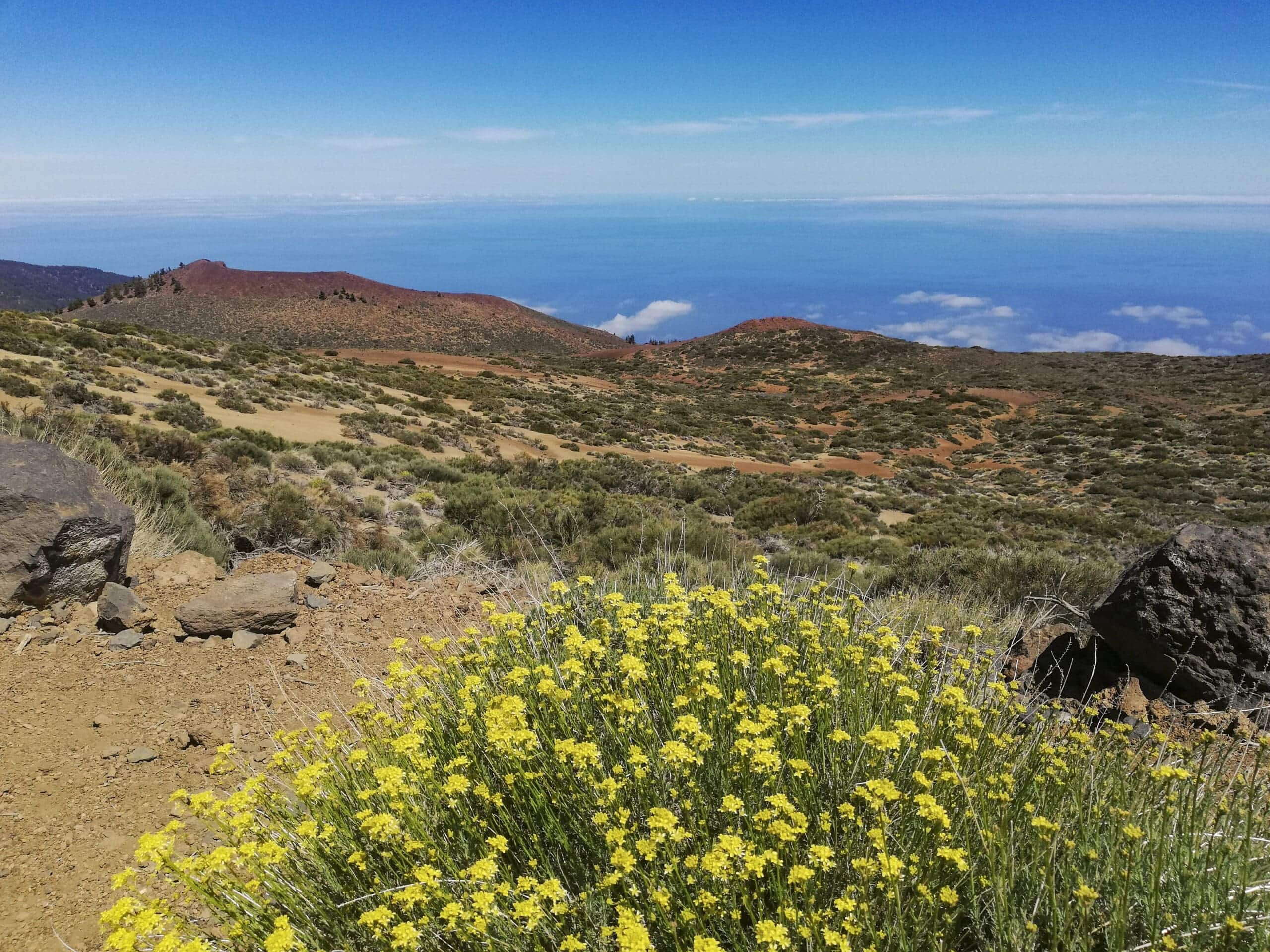Arenas Negras im Teide Nationalpark 5 Arenas Negras im Teide Nationalpark – Bild 5