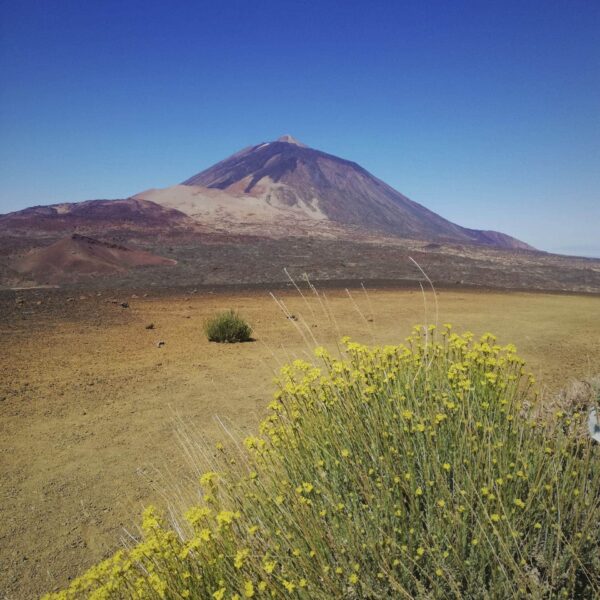 Arenas Negras im Teide Nationalpark – Bild 7