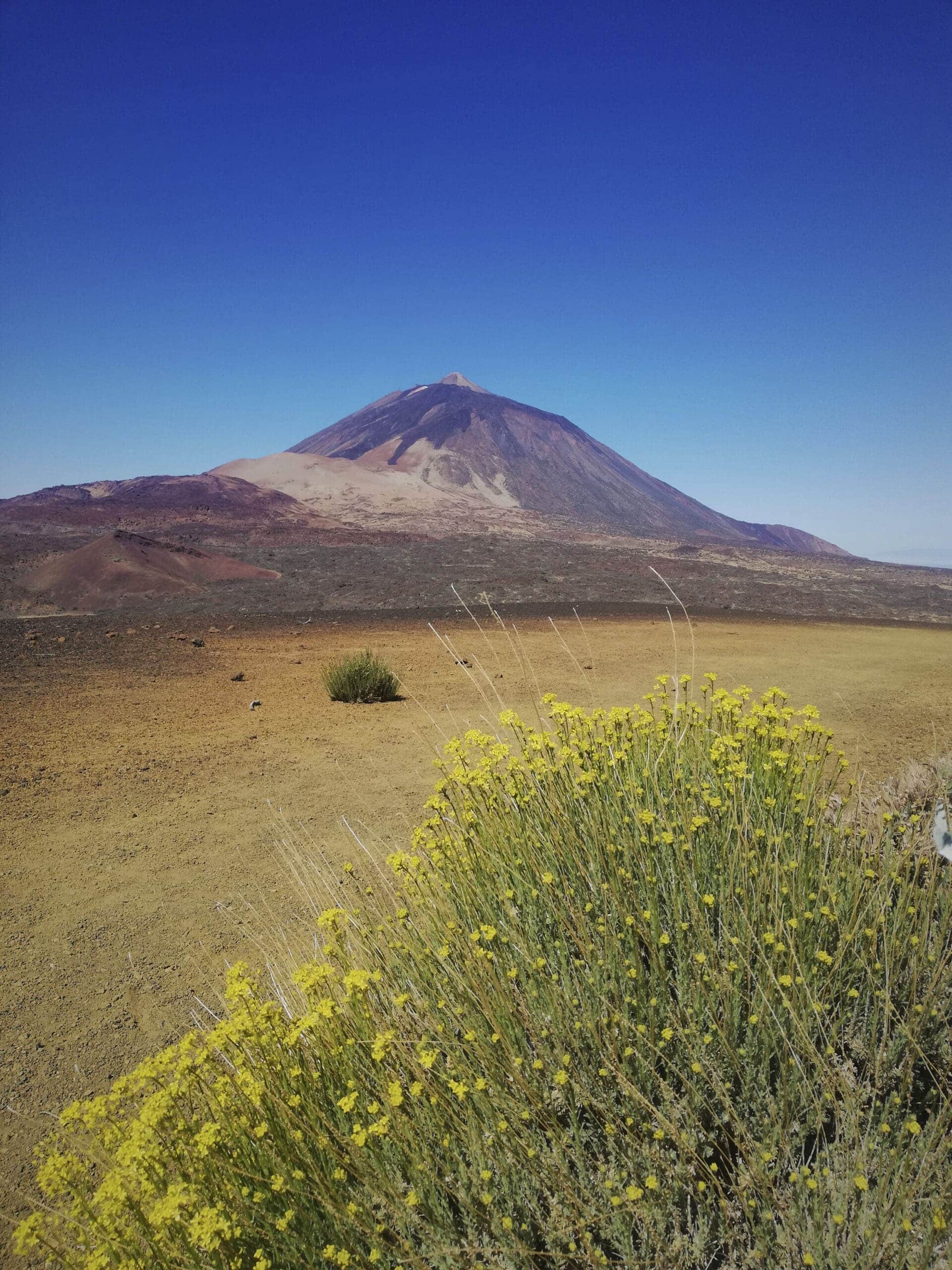 Arenas Negras im Teide Nationalpark 7 Arenas Negras im Teide Nationalpark – Bild 7