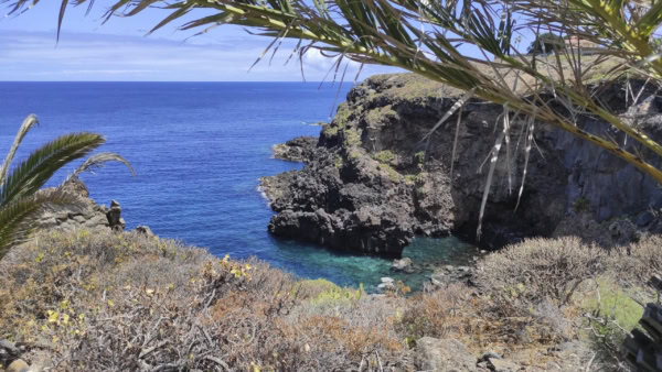 Buenavista del Norte