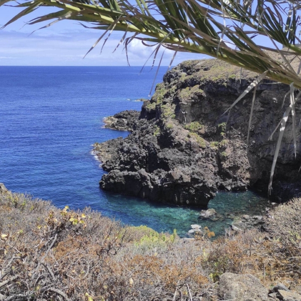 Buenavista del Norte – Bild 8
