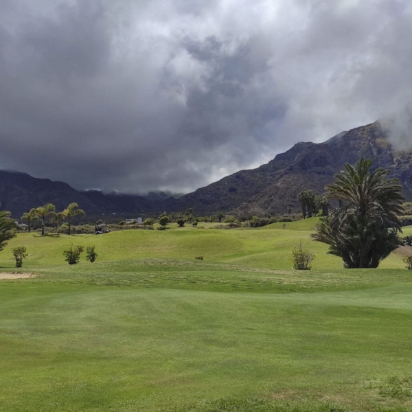 Buenavista del Norte – Bild 10