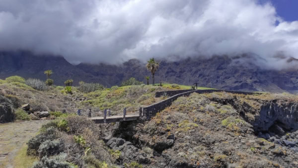 Buenavista del Norte