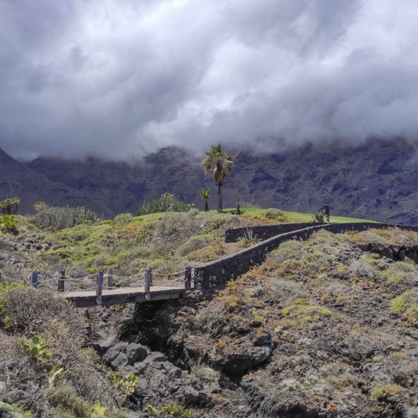 Buenavista del Norte – Bild 11