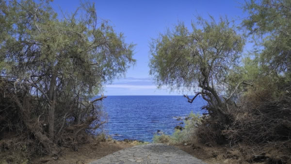 Buenavista del Norte