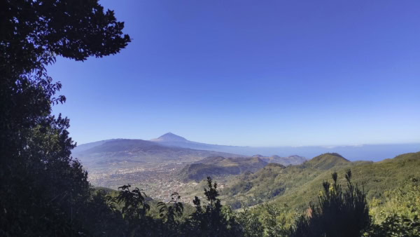 Chamorga