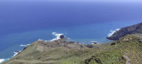Chamorga