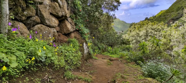 El Batán