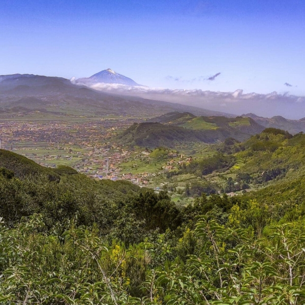 El Batán – Bild 15