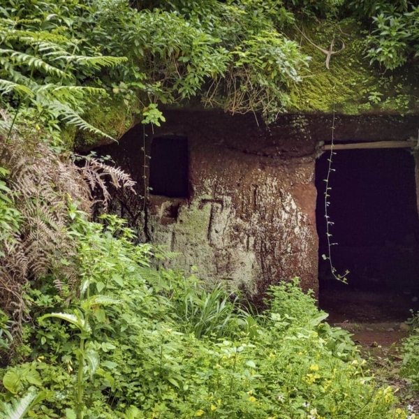 El Batán – Bild 9