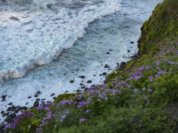 Entspannte Küstenwanderung