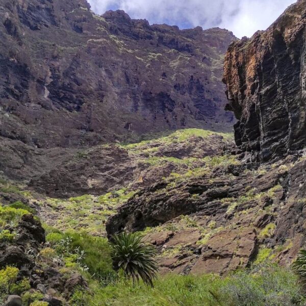 Masca Schlucht – Bild 8