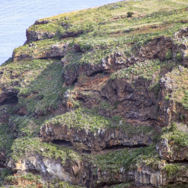Ruíz Schlucht – Bild 11