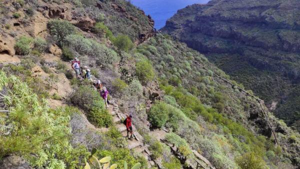 Ruíz Schlucht