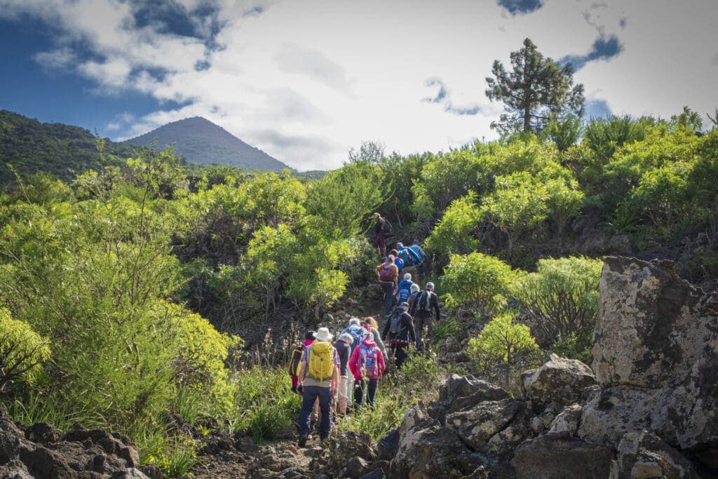Mandelblütentour: Santiago del Teide 6 Mandelblütentour: Santiago del Teide – Bild 6