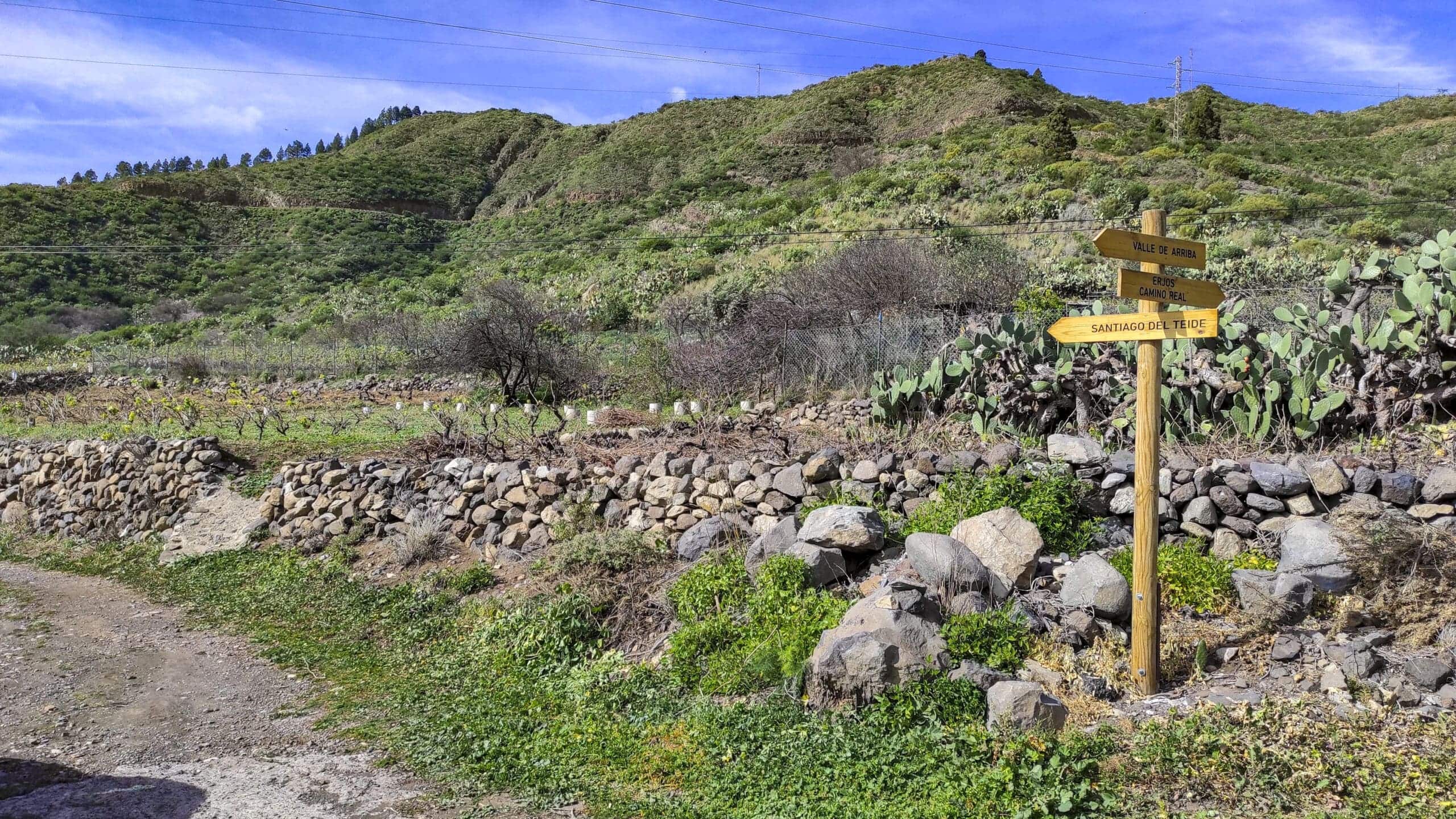 Mandelblütentour: Santiago del Teide 22 Mandelblütentour: Santiago del Teide – Bild 22