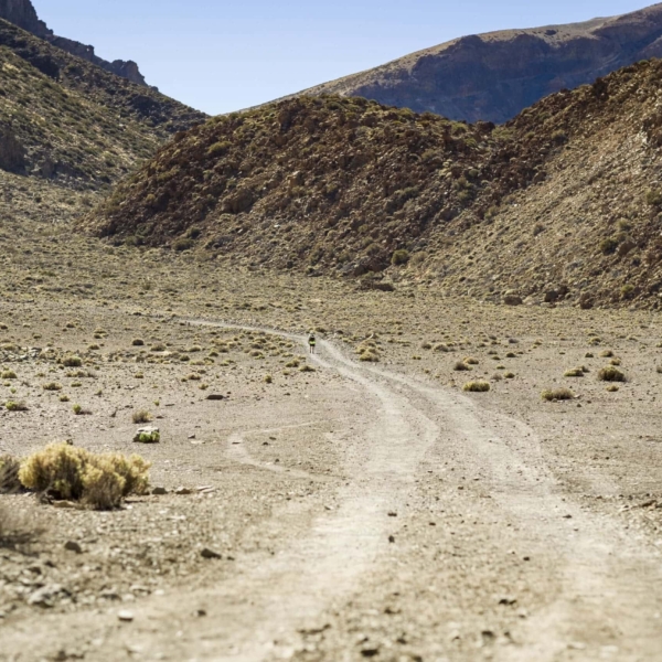 Teide Nationalpark – Bild 2
