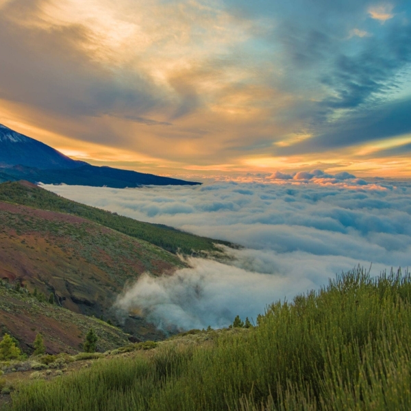 Teide Nationalpark – Bild 11