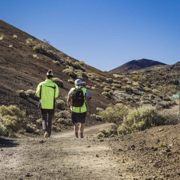 Teide Nationalpark – Bild 14