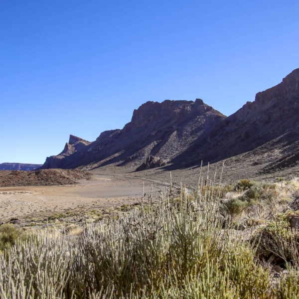 Teide Nationalpark – Bild 16
